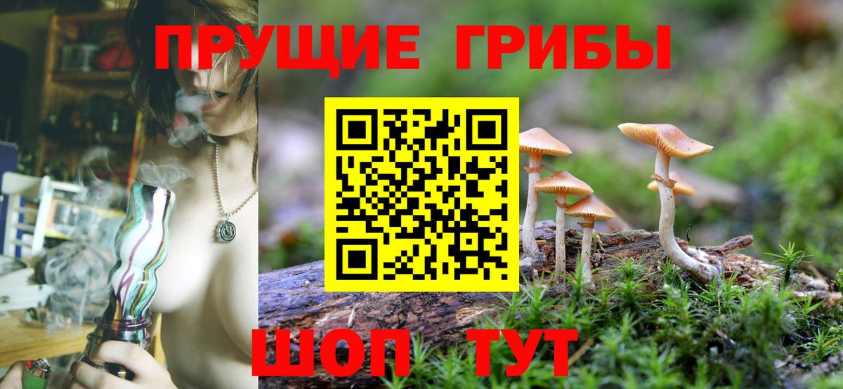 Галлюциногенные грибы Psilocybe  Псилоцибиновые грибы MAGIC MUSHROOMS  Можайск  Вход с VPN 