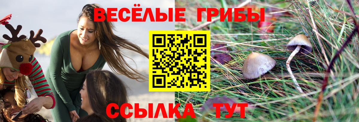 Псилоцибиновые грибы прущие грибы Можайск