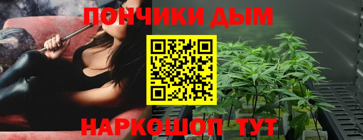 Шишки марихуана марихуана Можайск